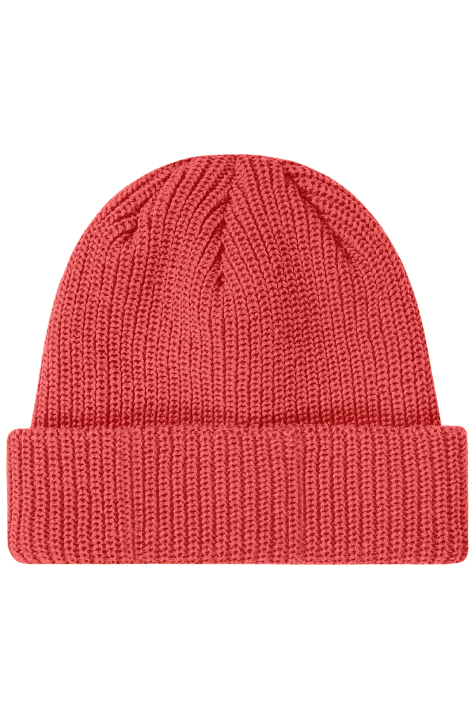 Шапка The Hundreds Crisp Beanie